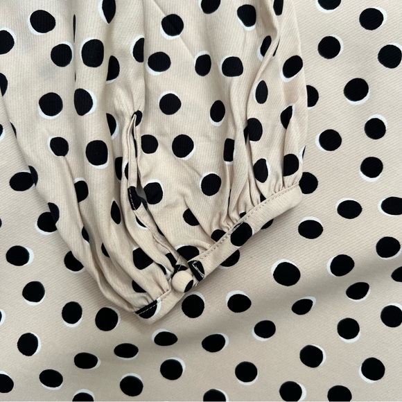 Ann Taylor Polka Dot Shift Dress - Picture 7 of 7